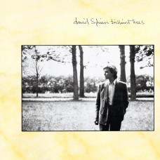 DAVID SYLVIAN - BRILLIANT TREES - LP UK 1984 - EXCELLENT+