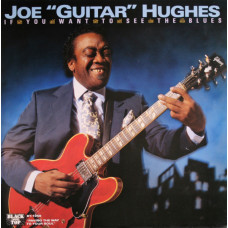 JOE "GUITAR" HUGHES - IF OU WANT TO SEE THE BLUES - LP 1989 USA - NEAR MINT