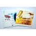 RADIOHEAD - OK COMPUTER - LP UK 2008 - NEAR MINT RADIOHEAD - OK COMPUTER - LP UK 2008 - NEAR MINT