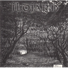 ILDJARN - FOREST POETRY - CD NORWAY 1996 - EXCELLENT+ ILDJARN - FOREST POETRY - CD NORWAY 1996 - EXCELLENT+