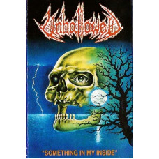 UNHALLOWED - SOMETHING IN MY INSIDE - MC SPAIN 1995 - NEAR MINT