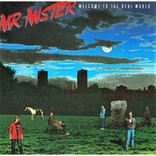 MR. MISTER - WELCOME TO THE REAL WORLD - LP 1985 - NEAR MINT