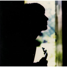 PAUL WELLER - WILD WOOD - LP 1993 - EXCELLENT+ PAUL WELLER - WILD WOOD - LP 1993 - EXCELLENT+