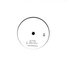 SHAME - THE LICK / GOLD HOLE - 7" UK 2016 - NEAR MINT SHAME - THE LICK / GOLD HOLE - 7" UK 2016 - NEAR MINT