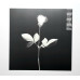 DEPECHE MODE - VIOLATOR - LP 2014 - NEAR MINT
