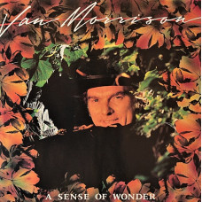 VAN MORRISON - A SENSE OF WONDER - LP UK 1984 - EXCELLENT+